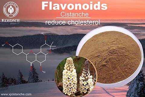 Flavonoid