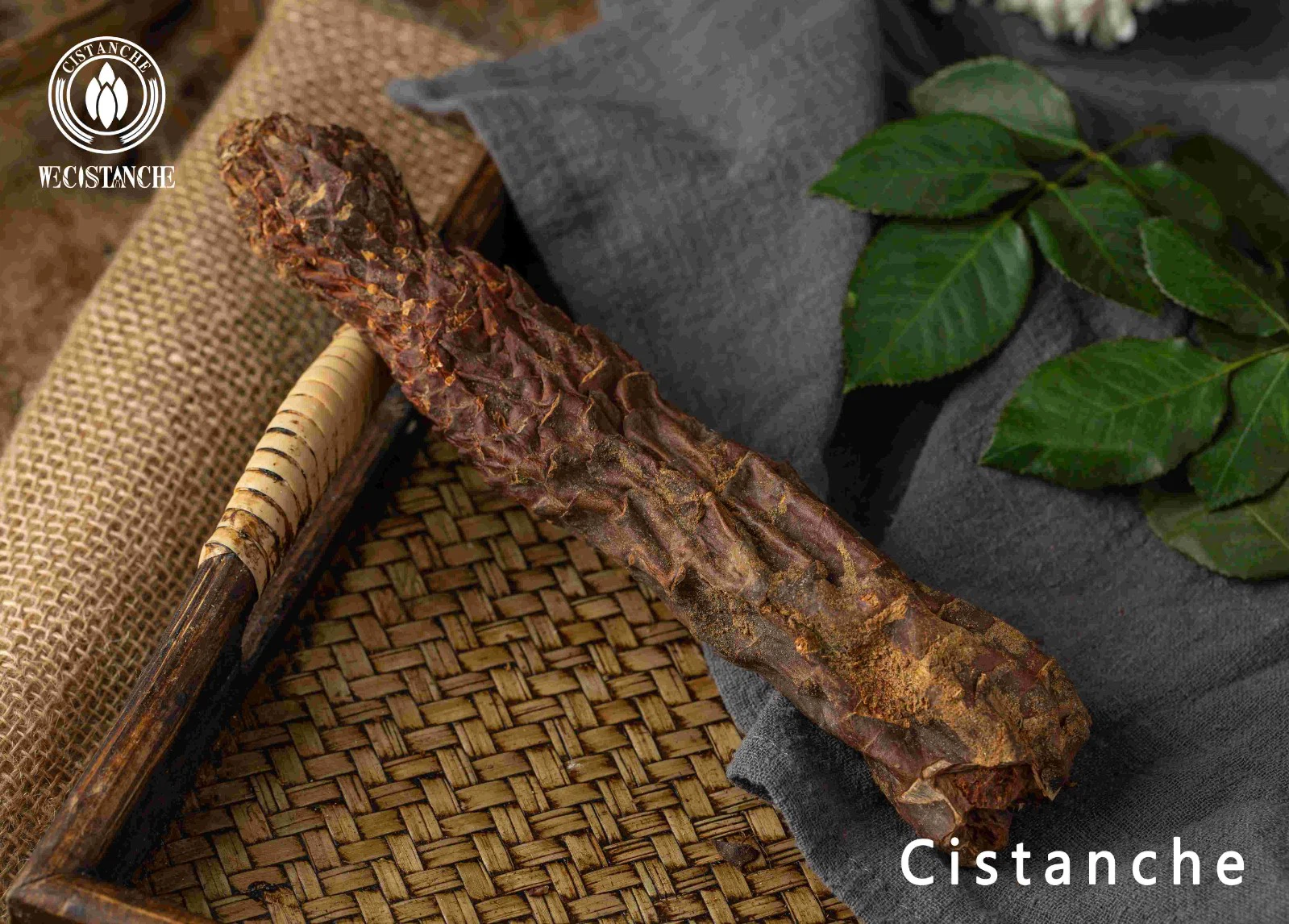 cistanche deserticola vs tubulosa