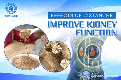 Cistanche benefits 