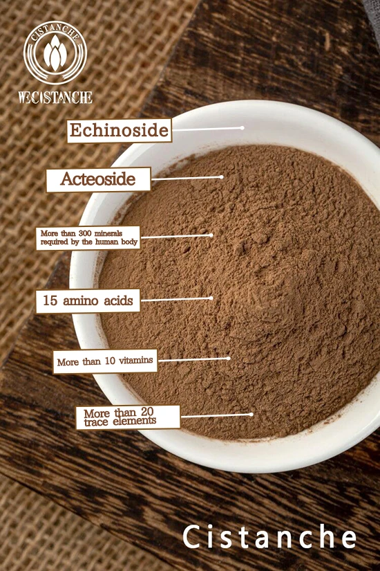Main Chemical Constituents of Cistanche deserticola2