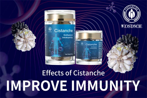 cistanche penis growth