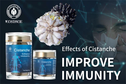 herba cistanches side effects