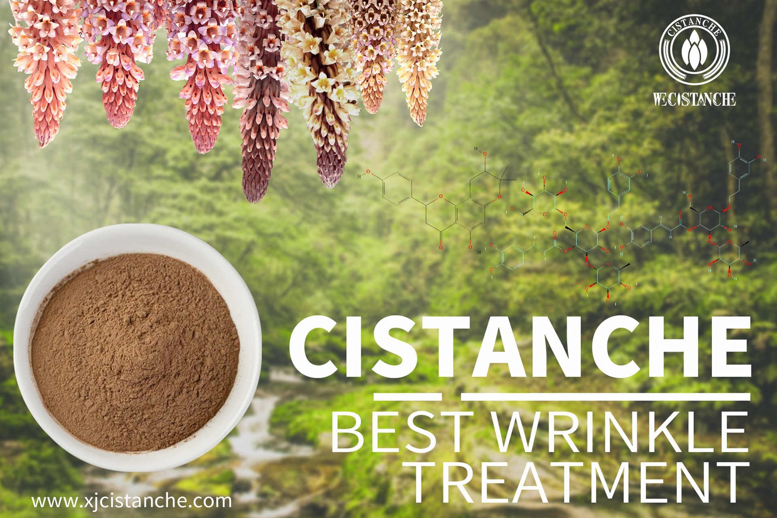 cistanche nedir