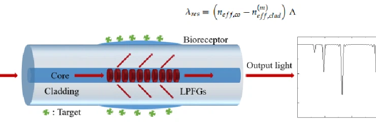 Figure 2. Schematic illustration of OFBS based on an LPFG