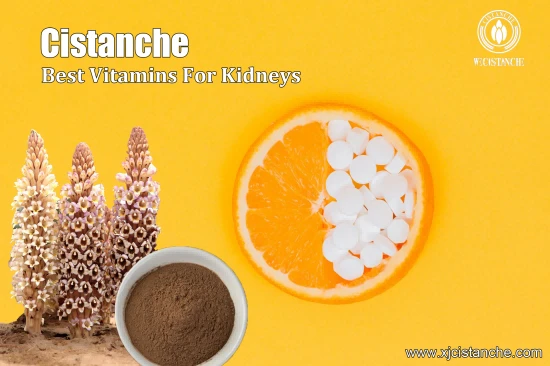 25% echinacoside and 9% acteoside cistanche for kidney