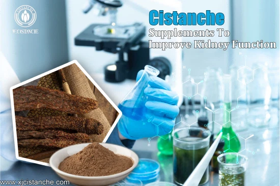 CISTANCHE EXTRACT WITH 25% ECHINACOSIDE AND 9% ACTEOSIDE FOR KIDNEY