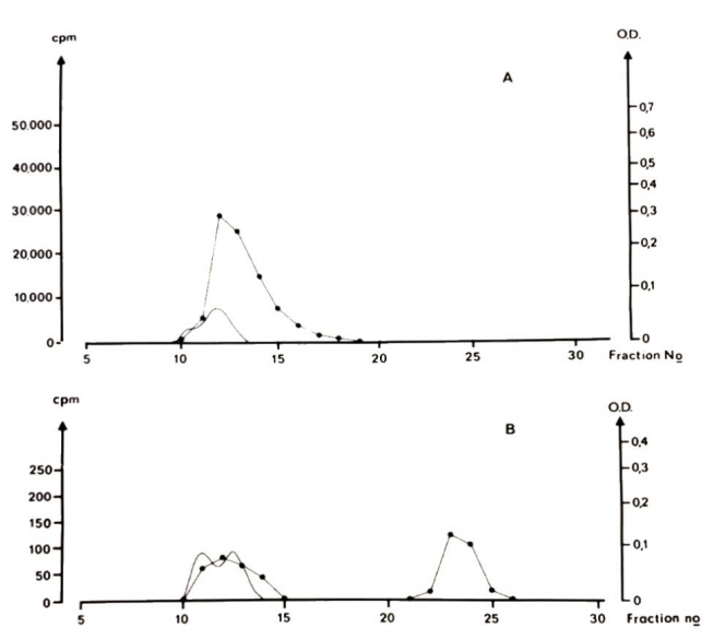 CISTANCHE EXTRACT WITH 25% ECHINACOSIDE AND 9% ACTEOSIDE FOR KIDNEY 