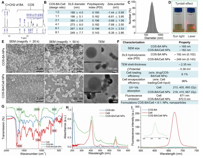Figure 1 Fabrication and characterization of chitosan oligosaccharides-modified betulinic acid (COS-BA) prodrug-mediated nano-assemblies COS-BA/Ce6 NPs. (A) The amplified key positions of 1 H NMR of COS-BA. (B) Preparation of co-assembled COS-BA/Ce6 NPs with various COS-BA/Ce6 ratios. (C) Size distribution of COS-BA/Ce6 NPs using COS-BA and Ce6 (molar ratio, 8:1) as building blocks. (D) The water solubility and Tyndall effect of co-assemblies, indicate a colloidal nature. (E) SEM and TEM images of free COS-BA self-assemblies and co-assembled COS-BA/Ce6 NPs. (F) Summary of physiochemical properties of COS-BA/Ce6 NPs. (G) FT-IR spectra, (H) UV Vis spectra, and (I) fluorescence emission spectra of free Ce6, COS-BA, and co-assembled COS-BA/Ce6 NPs in water.