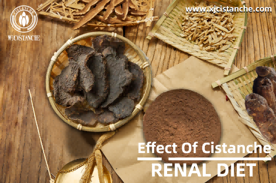 CISTANCHE TO WORK FOR KIDNEY DISEASE PATIENTS