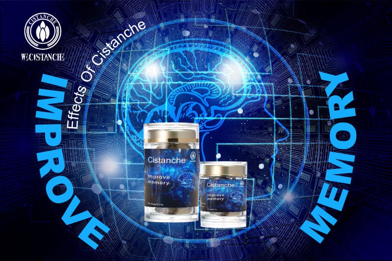 cistanche tubulosa for enhancing memory function cistanche tubulosa for enhancing memory function