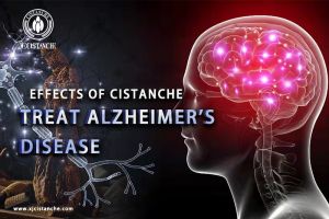 supplements to boost memory supplements to boost memory
