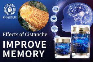 10 ways to improve memory