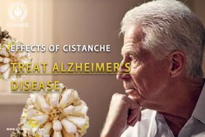 improve cognitive function