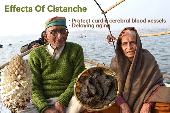 Protect cardio cerebral blood vessels
