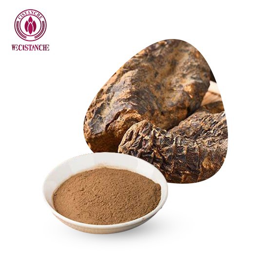 Extracto de Cistanche de grado alimenticio