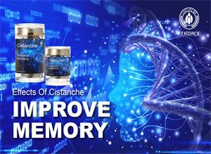 Los suplementos de Cistanche mejoran la memoria y previenen la enfermedad de Parkinson