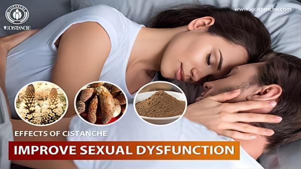 Cistanche Herbal Supplements Cistanche Herbal Supplements